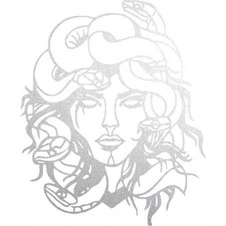 Imaginea de pe perete msdúza femeie - MEDUSA GORGONA