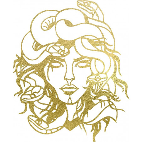 Imaginea de pe perete msdúza femeie - MEDUSA GORGONA