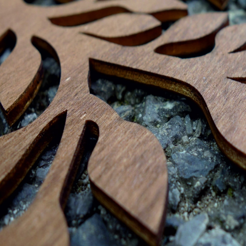 Pictură sculptată pe peretele unui palmier -...