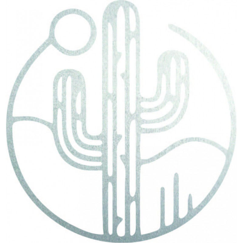 Imagine de perete din lemn a unui cactus cu...