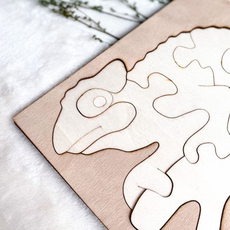 Bicolor insert montessori din lemn pentru copii - CAMELEON PLOP | SENTOP