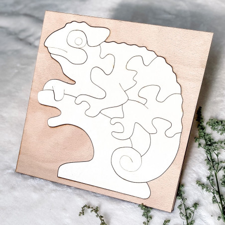 Bicolor insert montessori din lemn pentru copii - CAMELEON PLOP | SENTOP