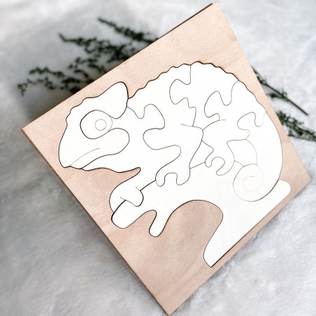 Bicolor insert montessori din lemn pentru copii - CAMELEON PLOP | SENTOP