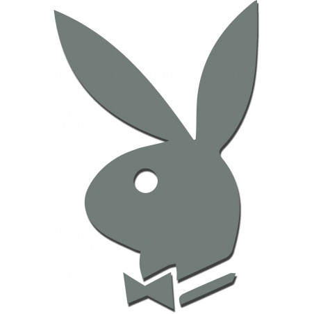 Oglinzi decorative. Autocolante oglindă pentru perete, ca imagine sau decor, autocolant acrilic 3D Oglinzi decorative. Autocolante oglindă pentru perete, ca imagine sau decor, autocolant acrilic 3D