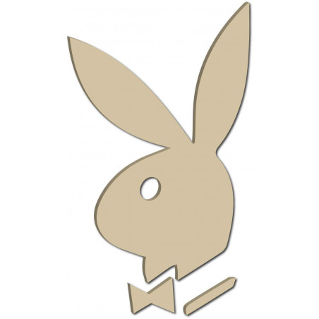 Oglinzi decorative. Autocolante oglindă pentru perete, ca imagine sau decor, autocolant acrilic 3D Oglinzi decorative. Autocolante oglindă pentru perete, ca imagine sau decor, autocolant acrilic 3D