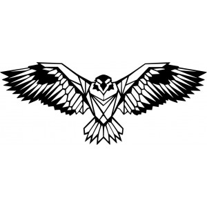 SENTOP imagine sculptată în lemn a unui vultur PR0233 negru 2