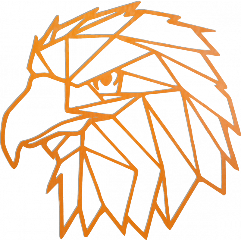 STYLESA Imagine sculptată   pe perete forme geometrice vultur PR0234 negru