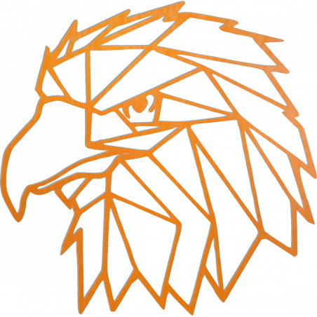 STYLESA Imagine sculptată   pe perete forme geometrice vultur PR0234 negru STYLESA Imagine sculptată   pe perete forme geometrice vultur PR0234 negru