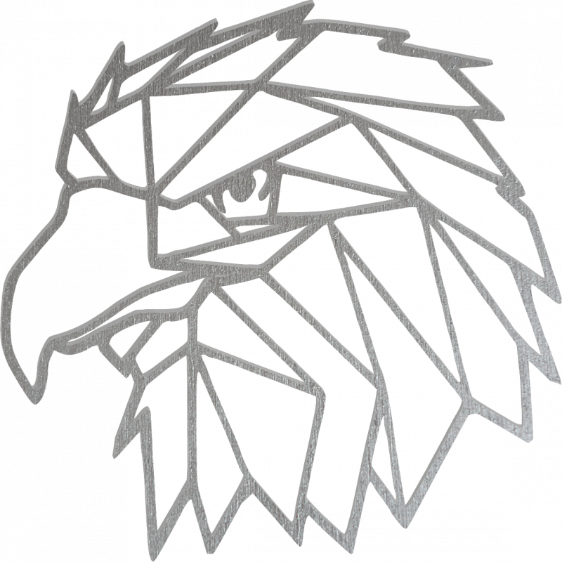 STYLESA Imagine sculptată   pe perete forme geometrice vultur PR0234 negru